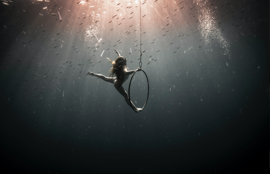 Incredible Underwater Photographs by Bastien Soleil