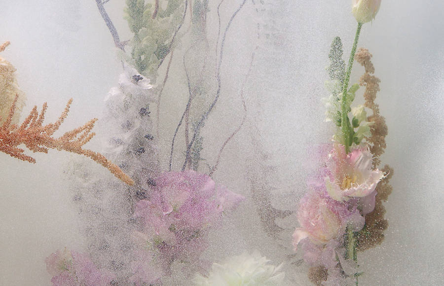 Underwater Ballet by Anne ten Donkelaar