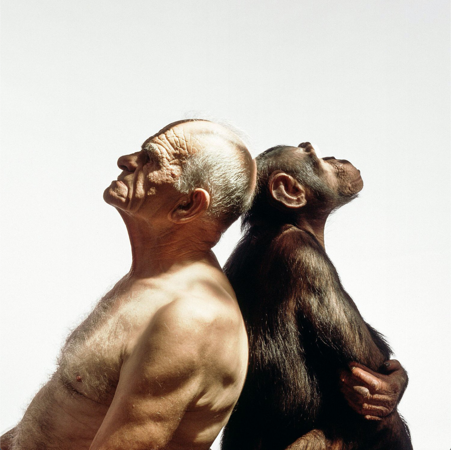 VT2 : ©James Balog; The Old Man and The Ape, 1993