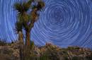 Timelapse Unveils the Sky Vault over the Joshua Tree National Park