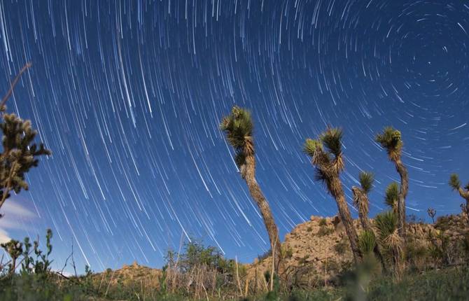 Timelapse Unveils the Sky Vault over the Joshua Tree National Park