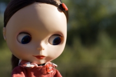 Blythe Dolls