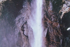 Natural World