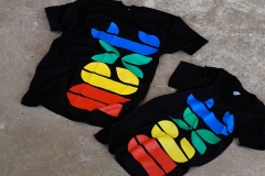 Matthew Wahl Type