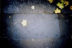 Urbanities