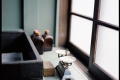 Still Life