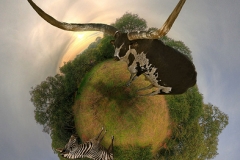 Little Planets