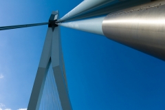 Rotterdam Architecture