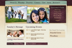 Web Screens