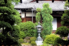 Japan Best-of
