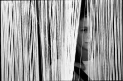 Max Pigott