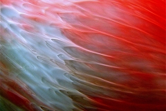 Liquids & Bubbles