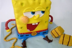 Shaped 3D Cakes