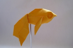 Design Paper