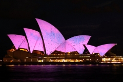 Vivid Sydney
