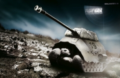 Gold Creative Adwards