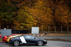 Cars Selection