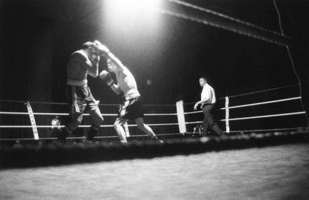 Boxeador
