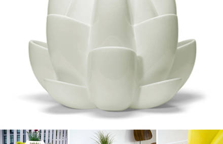 Nature Planter by Design Night