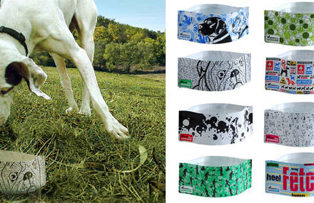 Bowldog –  The innovative flat water bowl