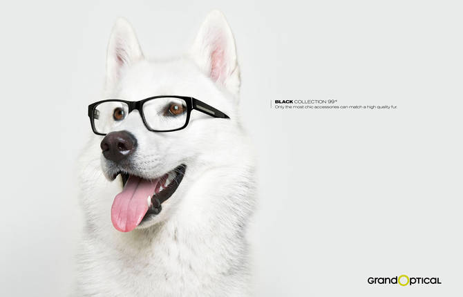 Grand Optical : Black Collection