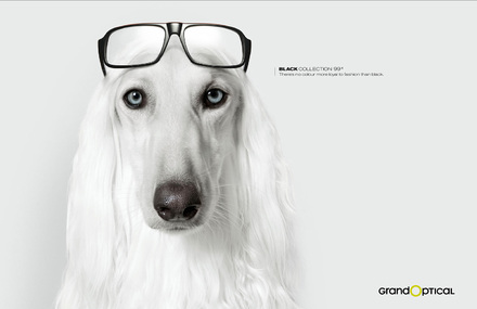Grand Optical : Black Collection