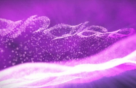 Plugin test – Trapcode Form