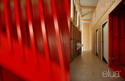 Elua Studio