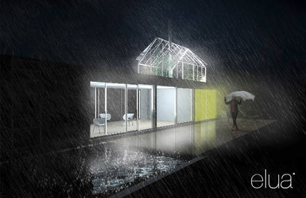 Elua Studio