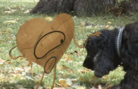 Heart Music Video