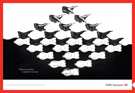 hsbc-tamandua