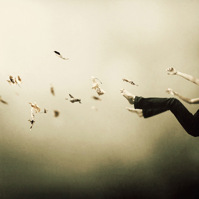 i-was-falling-high