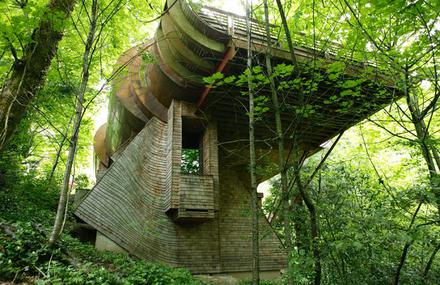 Tree House