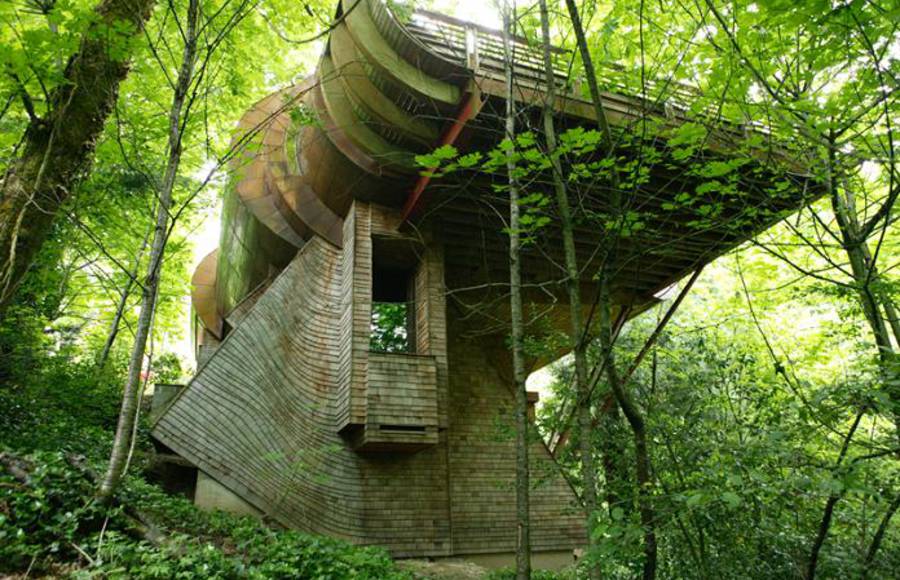 Tree House