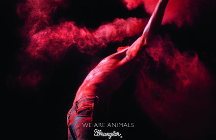 We Are Animals