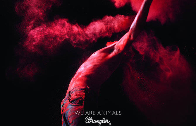 We Are Animals