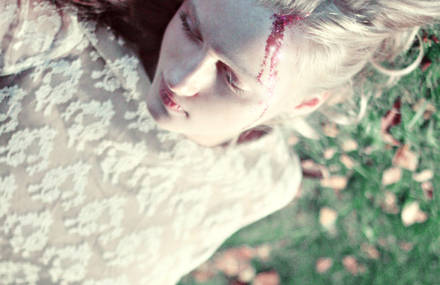 Virgin Suicides