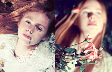 Virgin Suicides