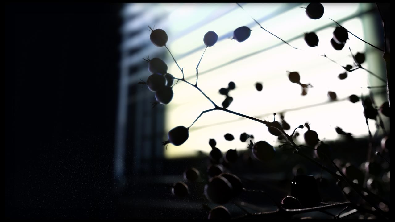 line_pl13_7201