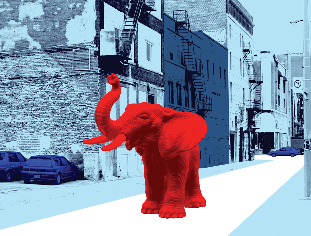 urban-elephant