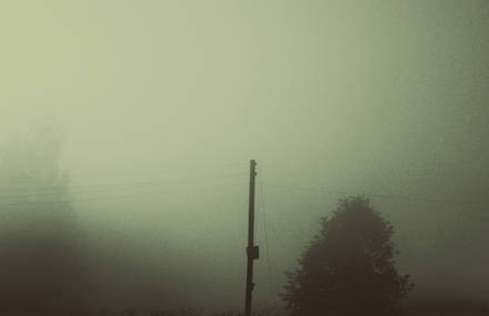 Untitled / Fog