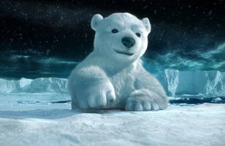 3 ours en hiver