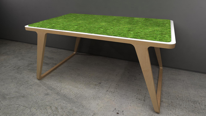table-dejeuner-sur-l-herbe