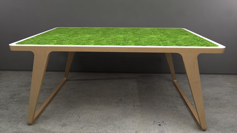 table-dejeuner-sur-l-herbe2