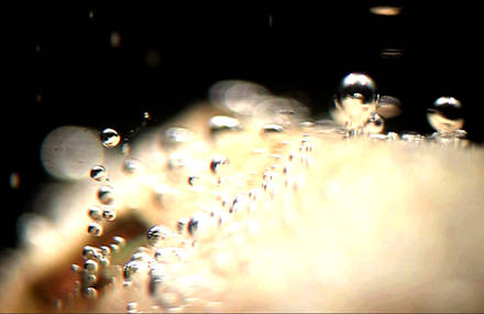 Via Lactea