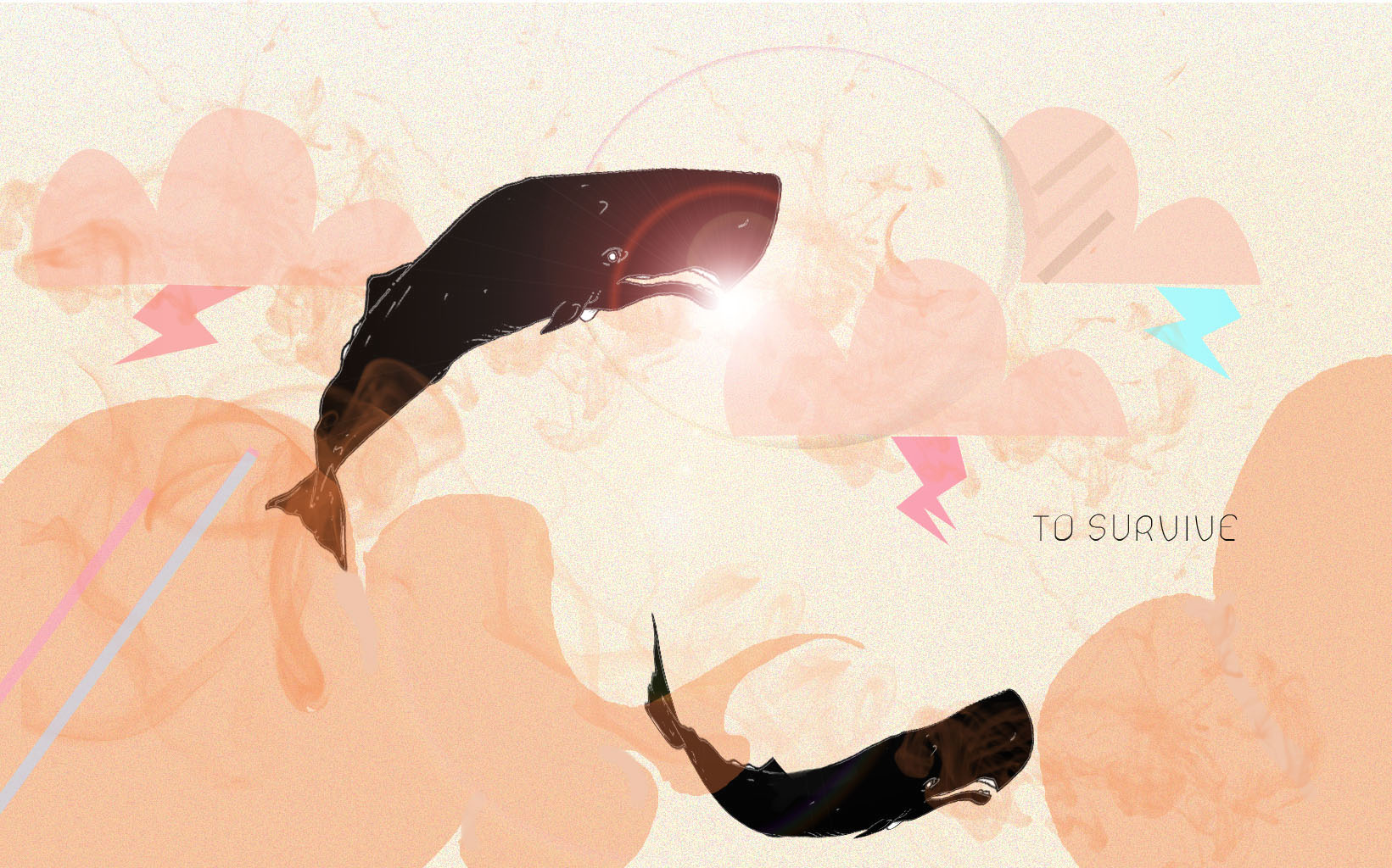 whale-copia-copy1