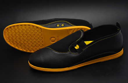 Bagua Shoes