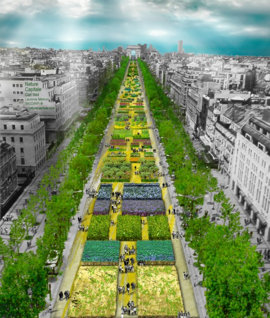 esquisse_vue_du_rond_point_web