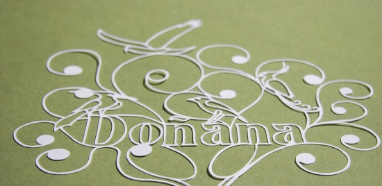 fondo-cajamadrid-invitacion-para-visitar-donana-detalle-2