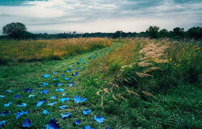 Sandy Skoglund